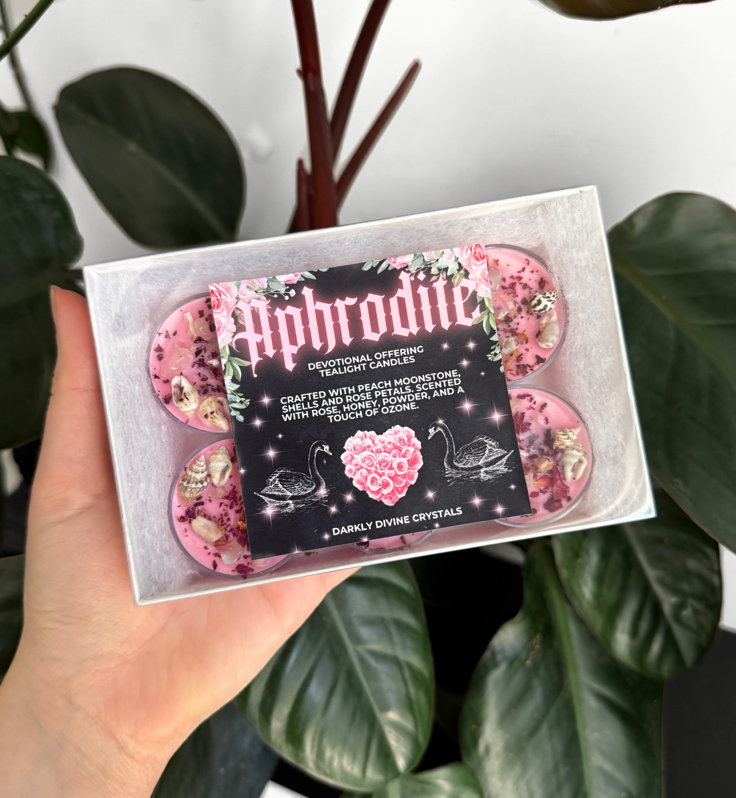 Aphrodite Tealight Candles