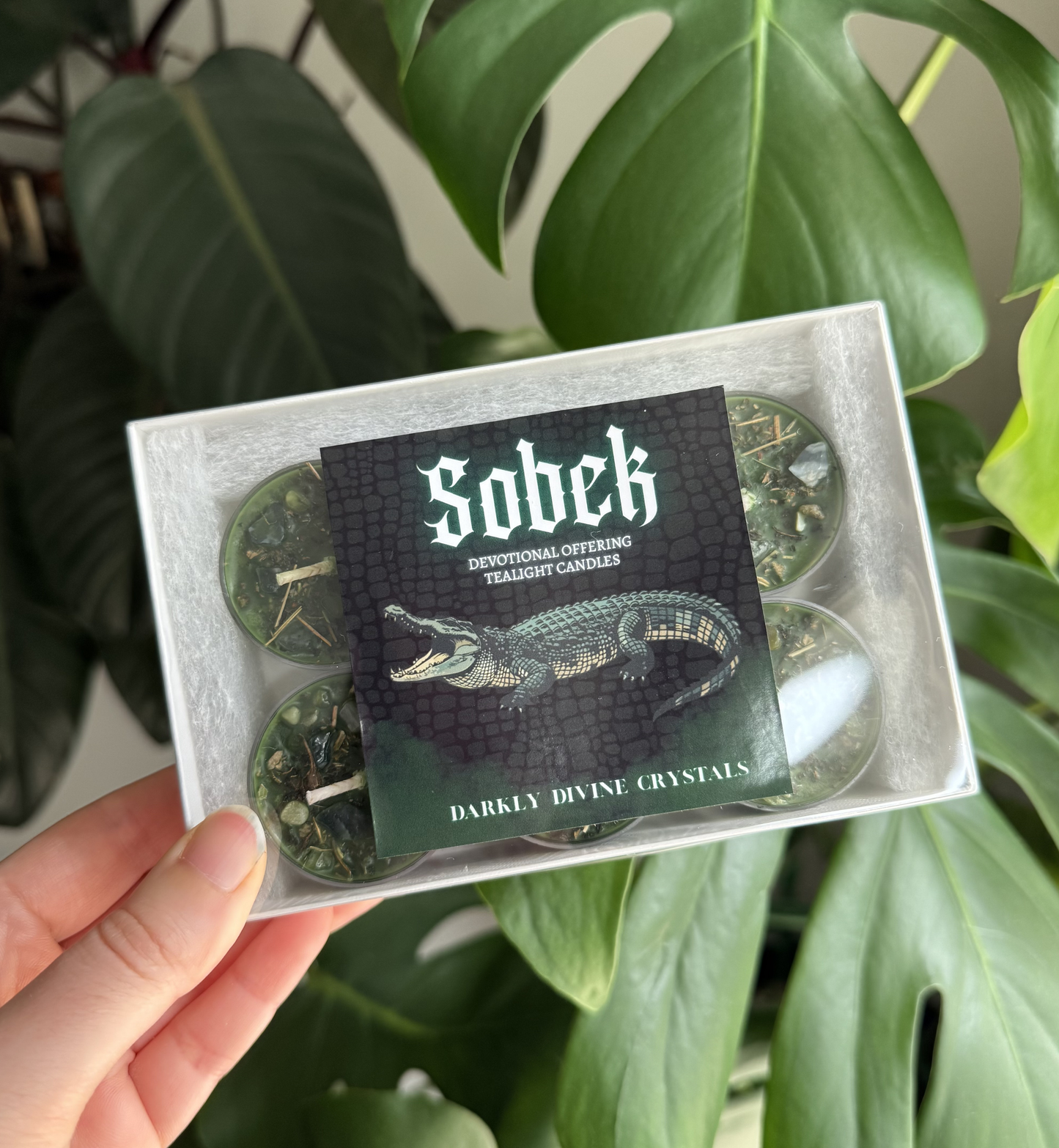 Sobek Tealights