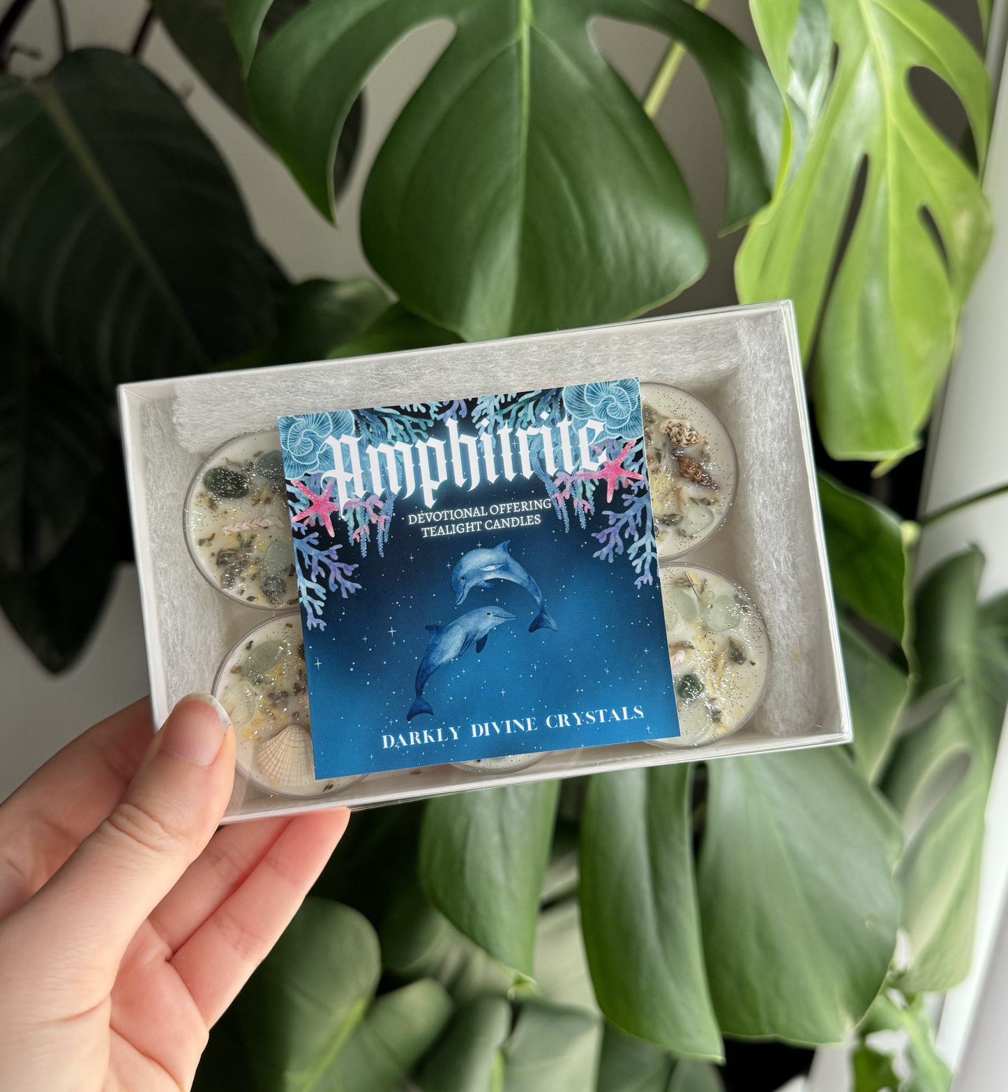 Amphitrite Tealights