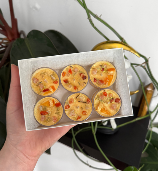 Apollo Tealight Candles