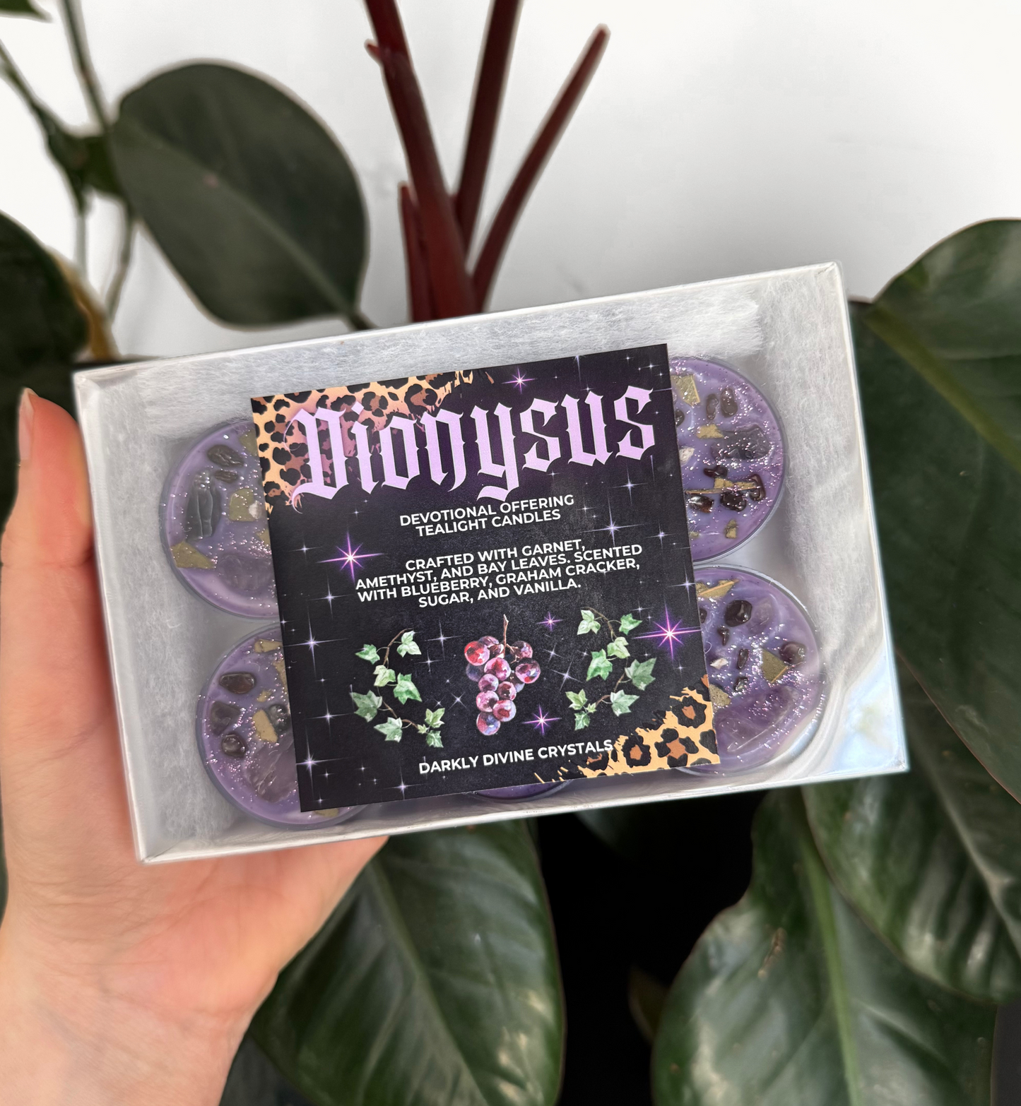 Dionysus Tealight Candles
