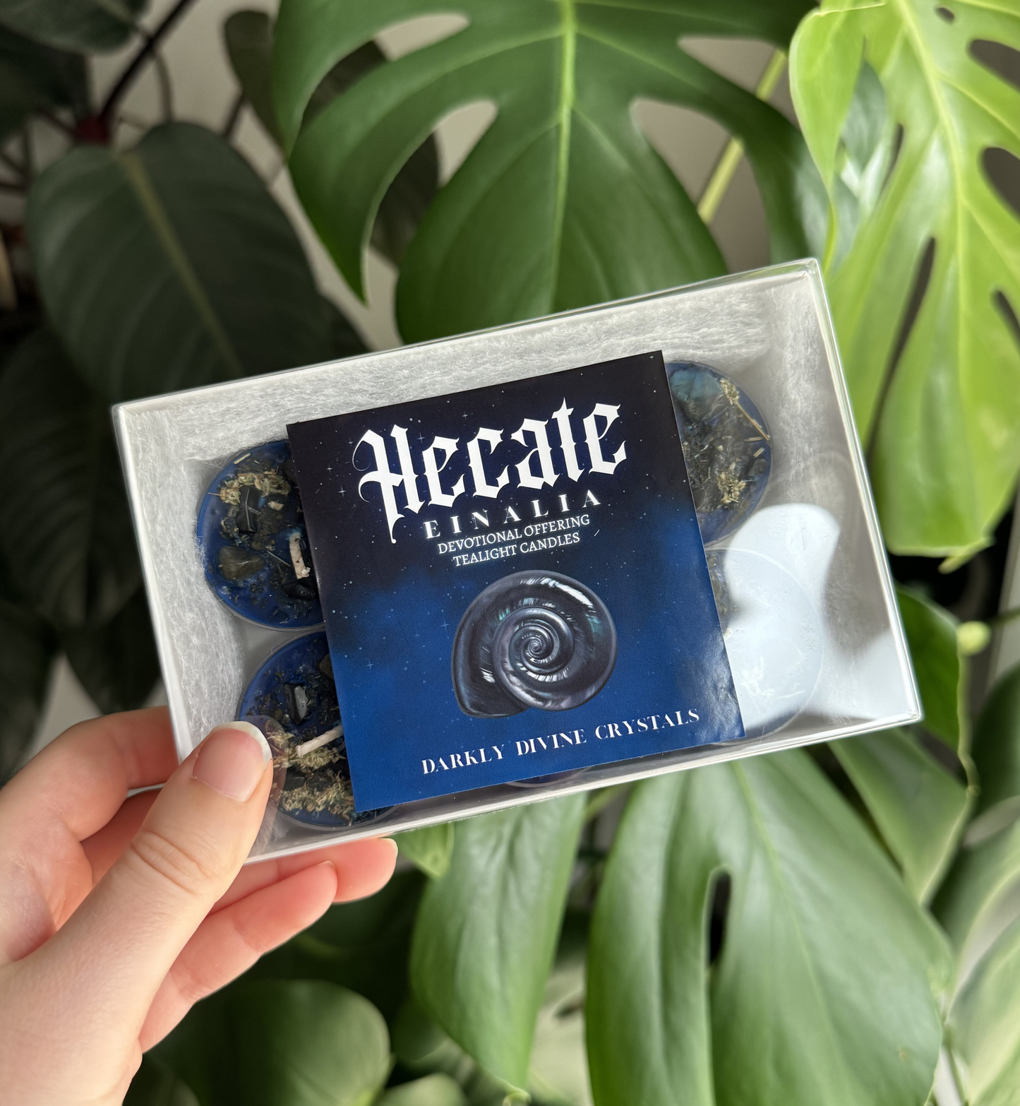 Hecate Einalia Tealights
