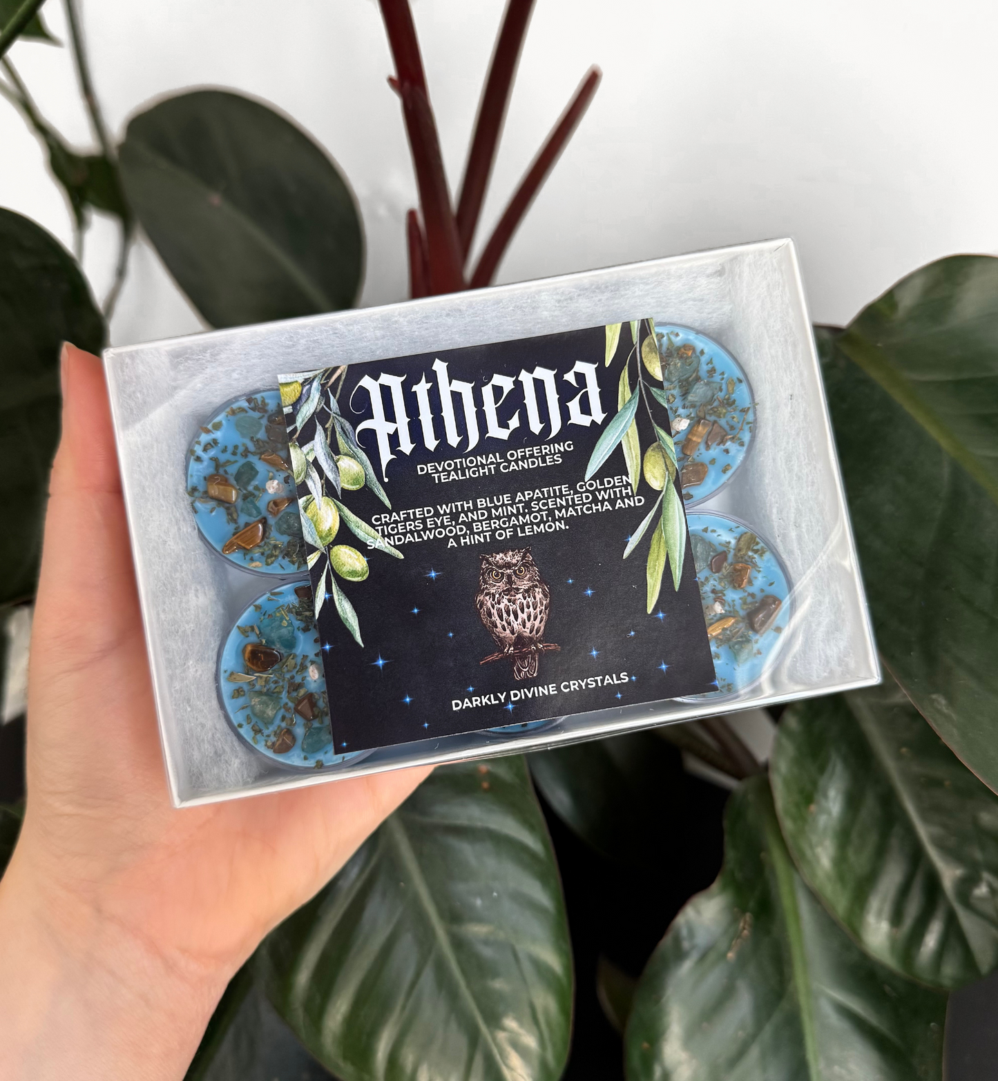 Athena Tealight Candles