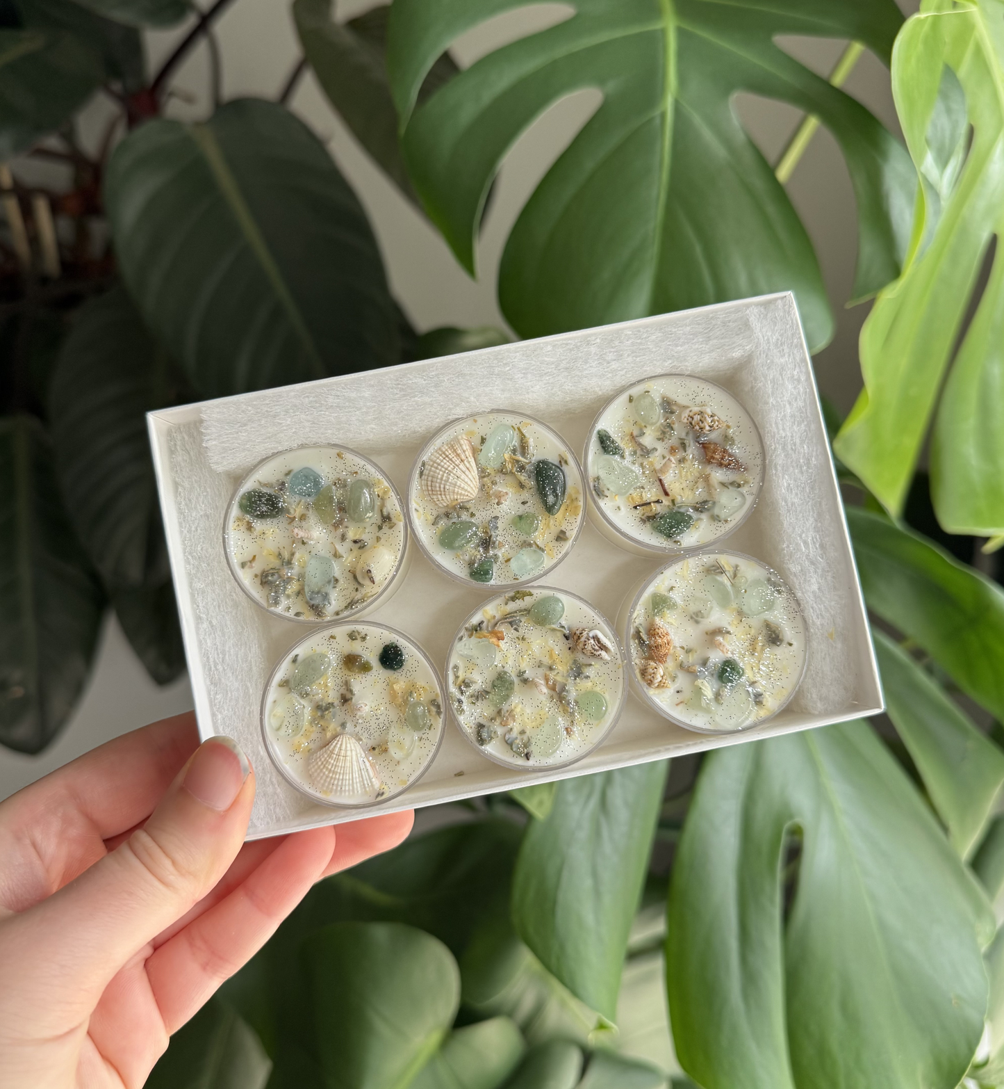 Amphitrite Tealights