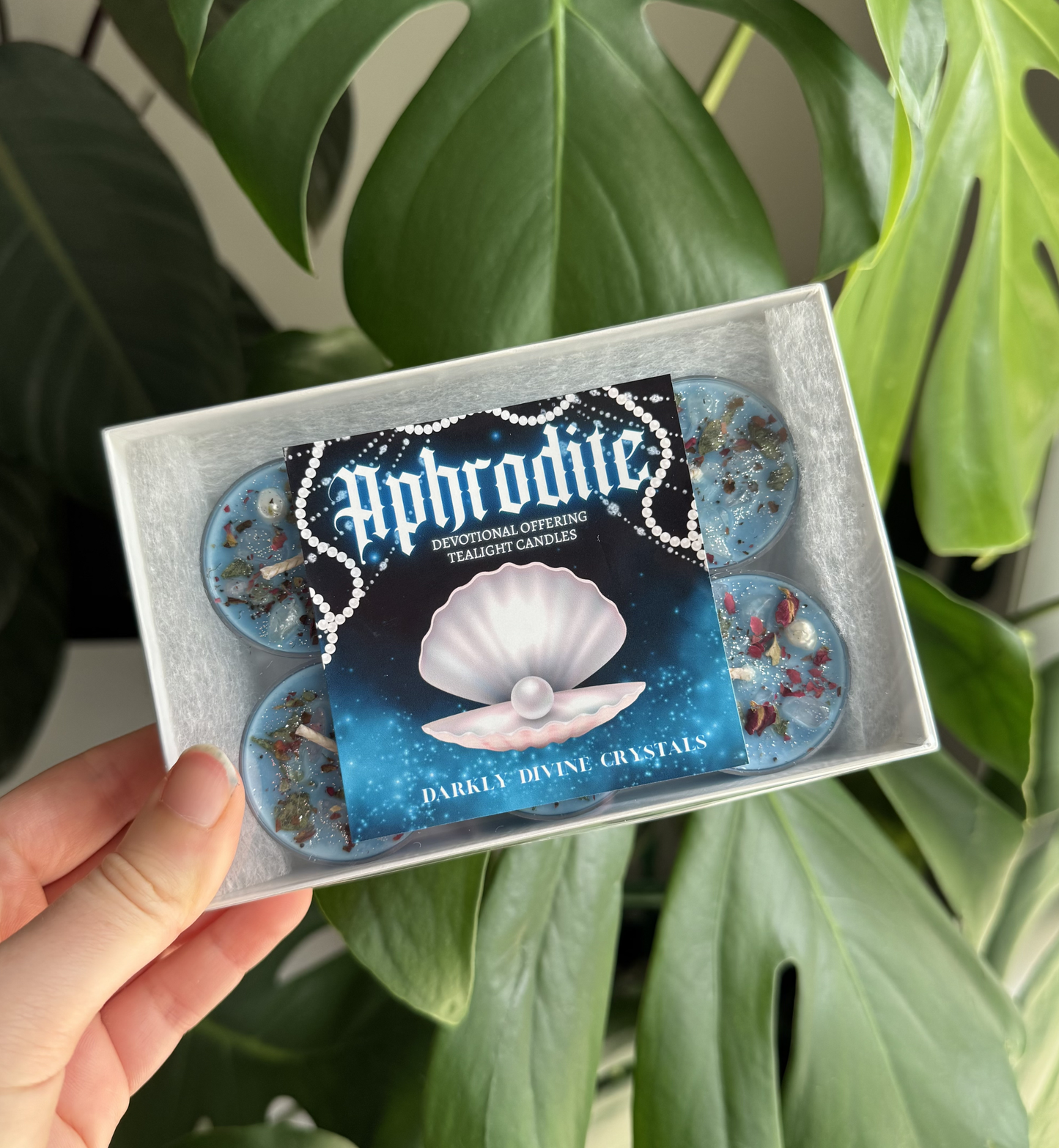 Aphrodite Tealights