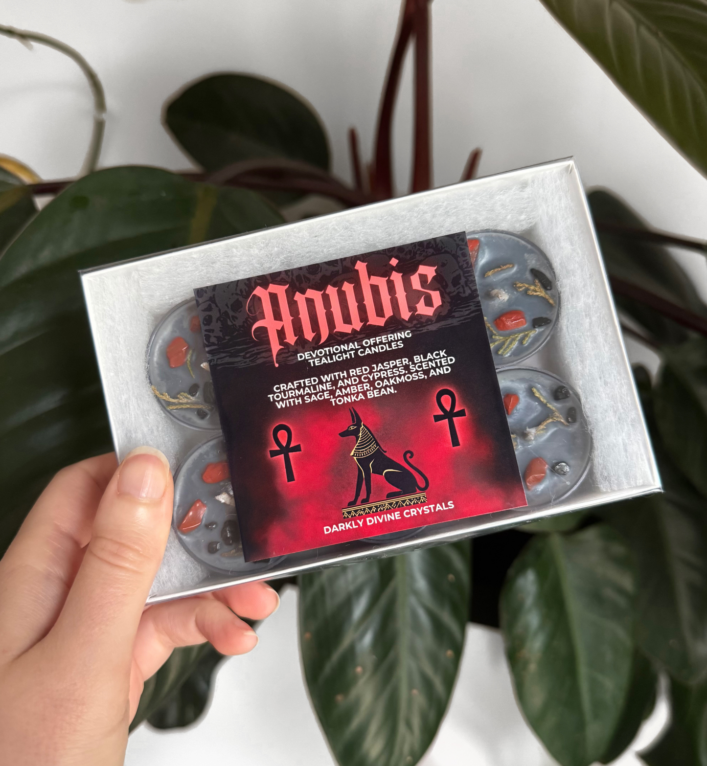 Anubis Tealights