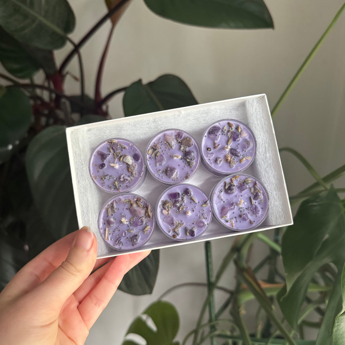 Hypnos Tealights