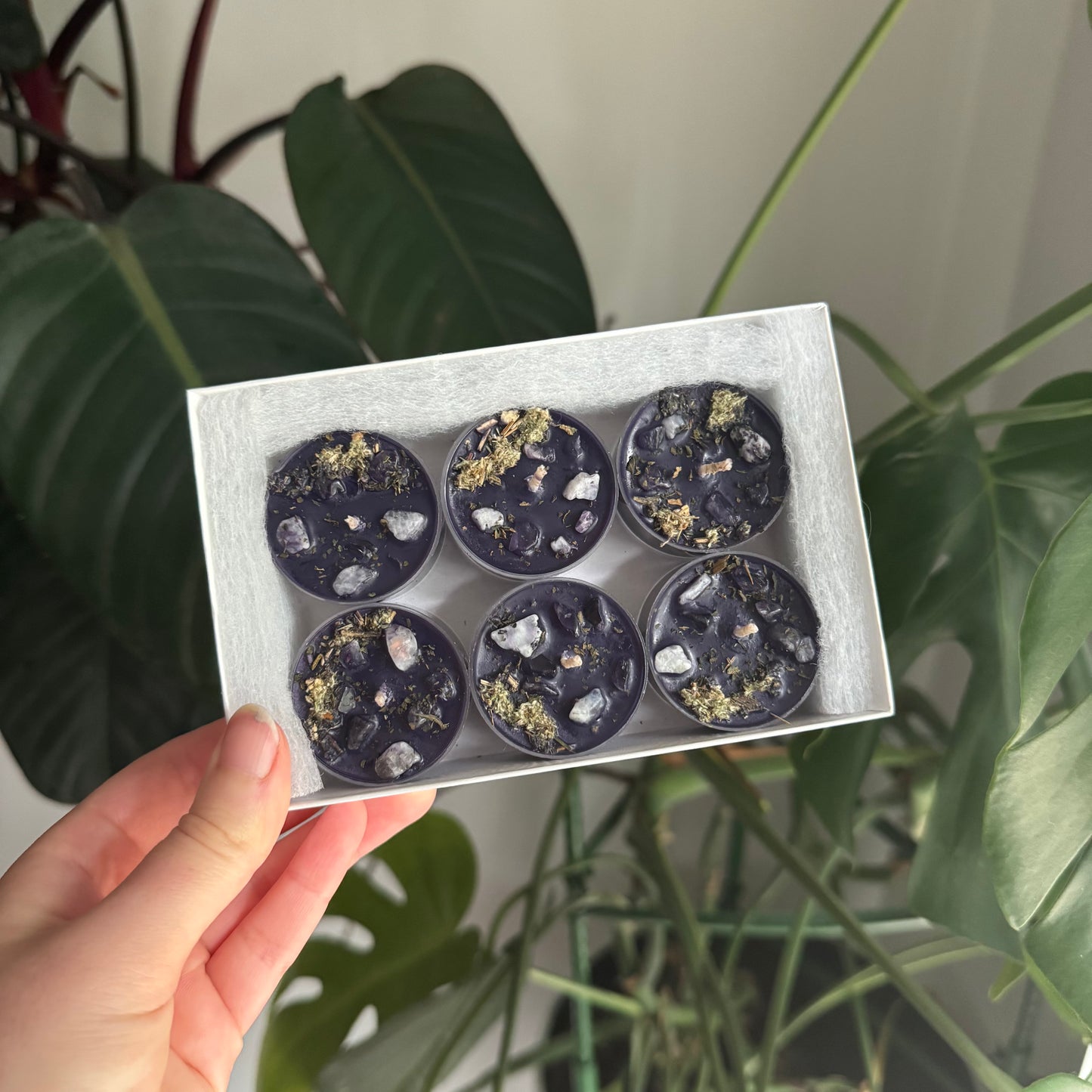 Melinoë Tealights