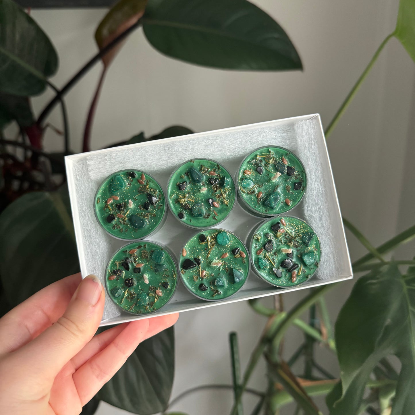 Osiris Tealights