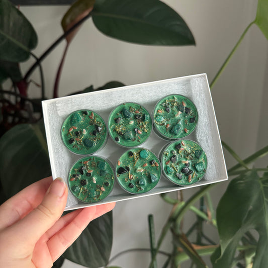 Osiris Tealights