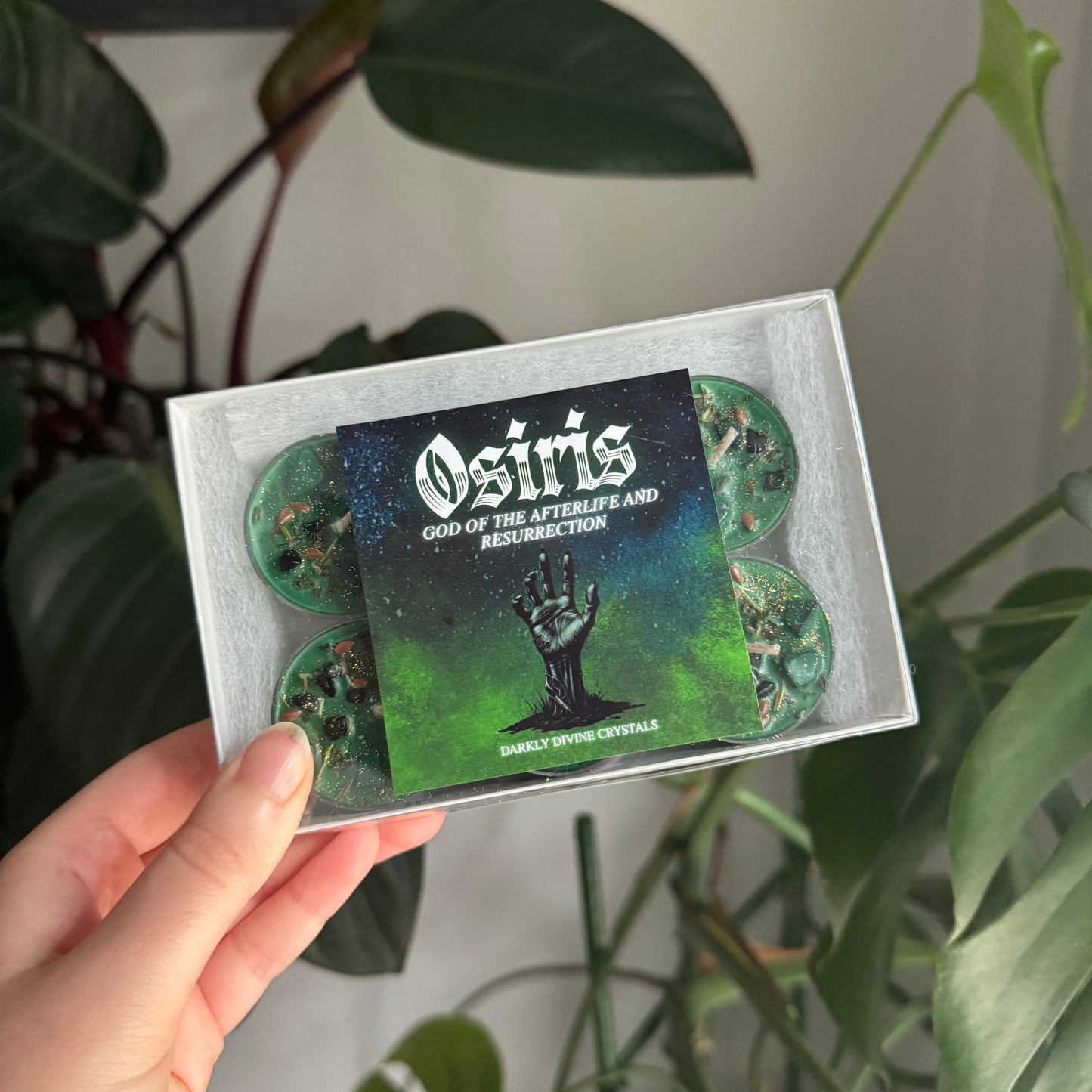 Osiris Tealights